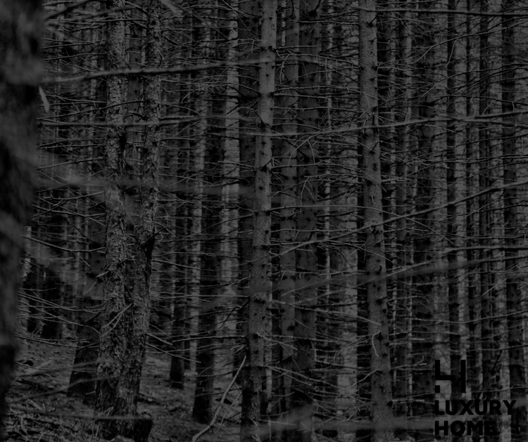 BOMBAY ICE (Amaderado)