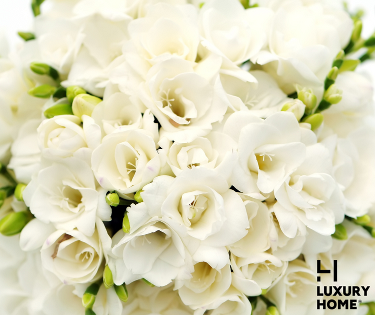 BRIDAL BOUQUETE (Floral)